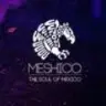 Meshico profile picture